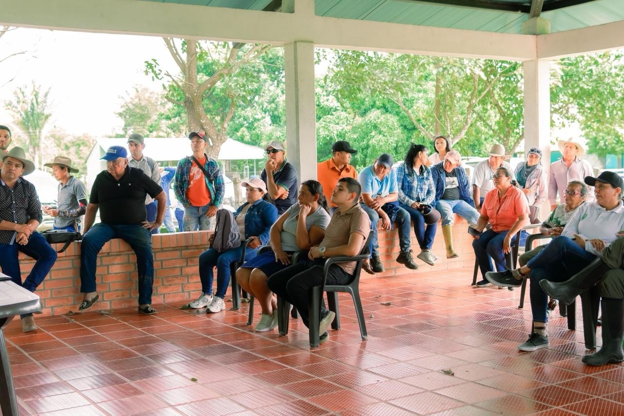 background-player-video