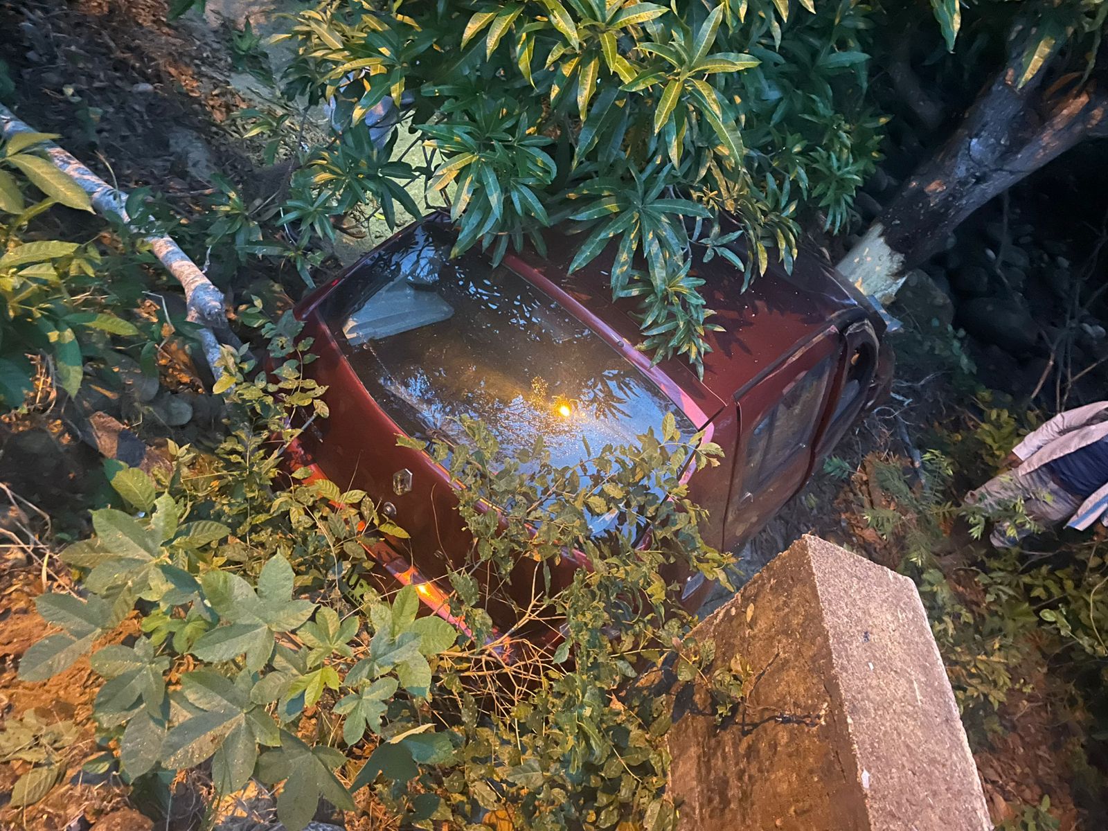 background-player-video