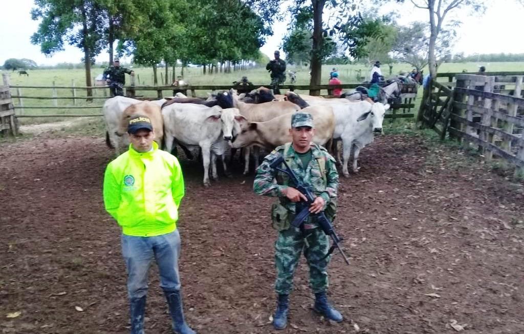 Autoridades lograron la recuperación de ganado que había sido hurtado en el municipio de Orocué