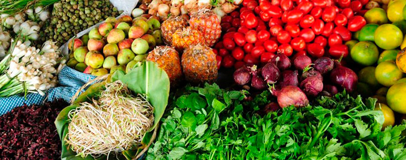 Inician socializaciones para la implementación de 400 unidades de seguridad alimentaria en Casanare