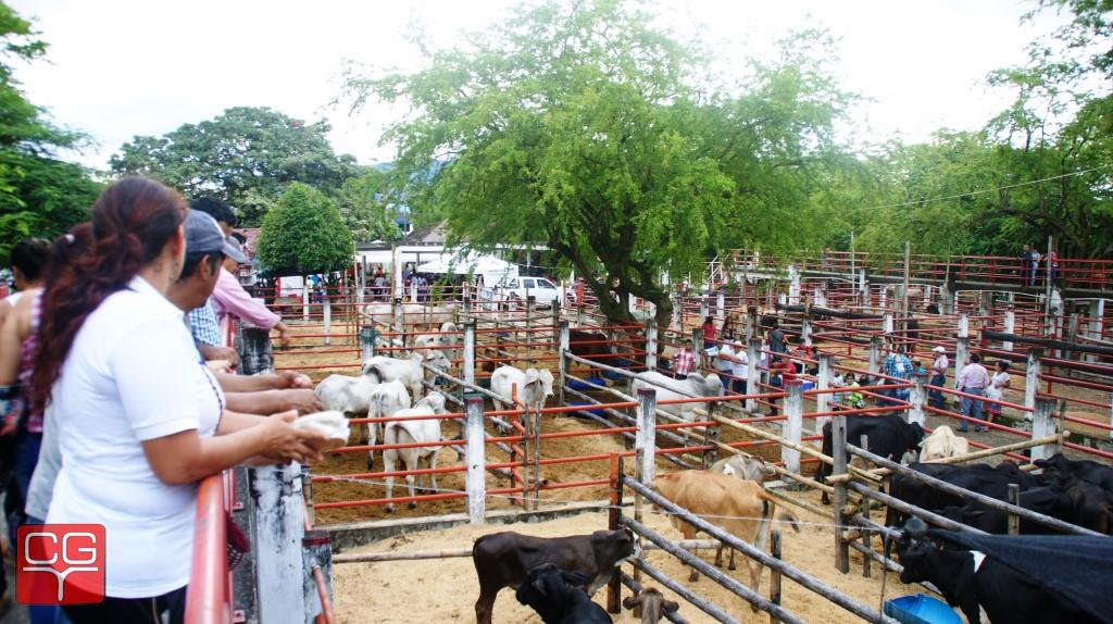 Con éxito se desarrolló en Yopal Expo Mercado Agropecuario, Empresarial Y Turístico