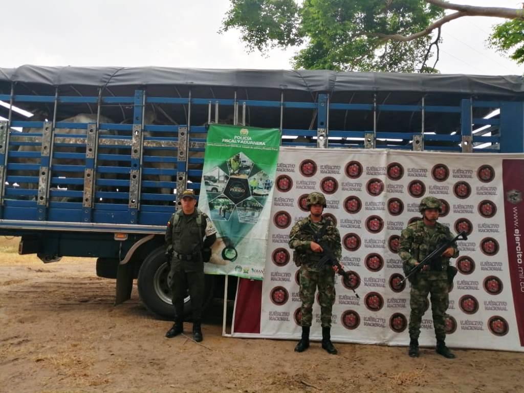 274 reses fueron recuperadas por el Ejército Nacional en Arauca