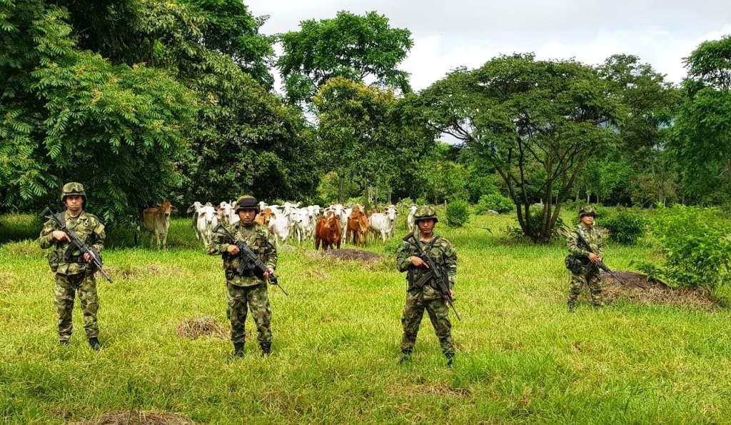 Operaciones del Ejército Nacional en el departamento de Casanare arrojaron importantes resultados