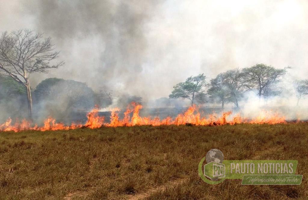 Fuerte incendio registrado el día de ayer en el municipio de Pore arrasó con más de 170 hectáreas