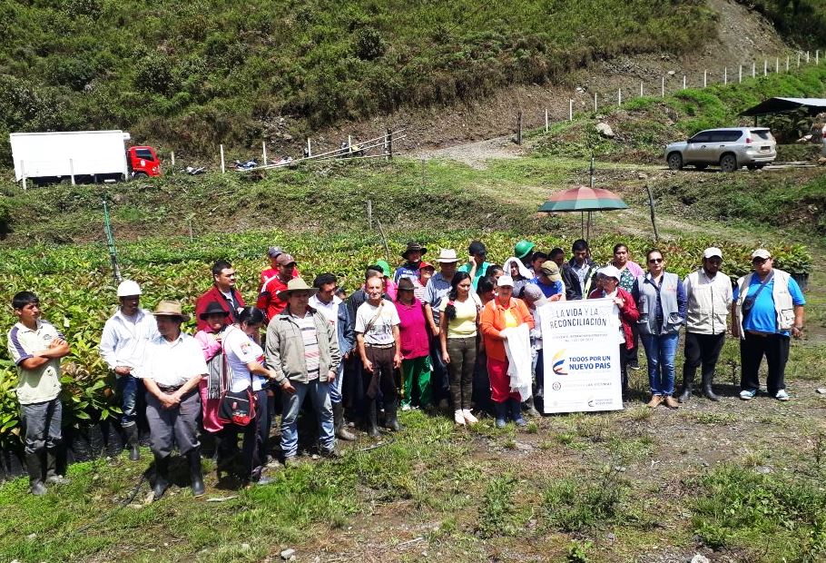 Sácama y la Salina producirán aguacate tipo exportación, gracias al programa Proyectos para la Vida y la Reconciliación