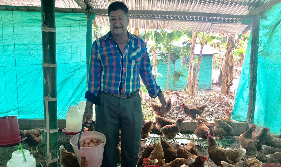 205 víctimas del municipio de Pore se beneficiaron de proyectos productivos