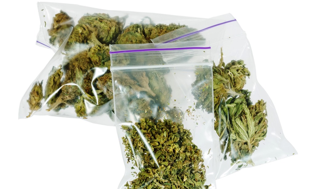 La Marihuana es la droga más incautada por las autoridades en Casanare