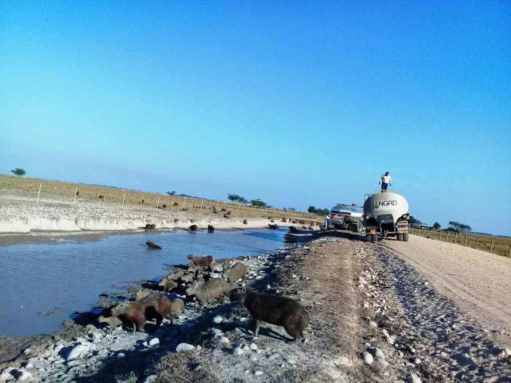 Gobernación envió otro carrotanque a Paz de Ariporo para afrontar sequía y muerte de animales