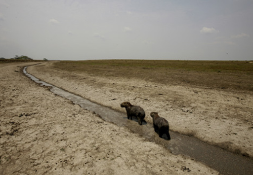 Siguen las alertas por las condiciones climáticas del fenómeno de El Niño