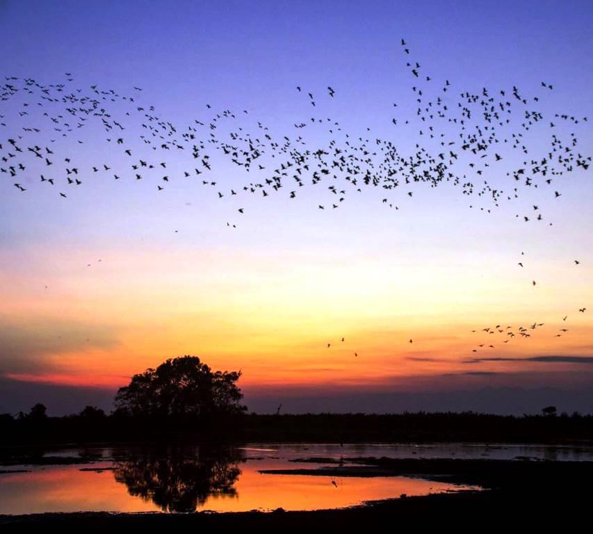 Se capacitaron a casanareños como guías de turismo natural con el fin de fortalecer el turismo en el departamento