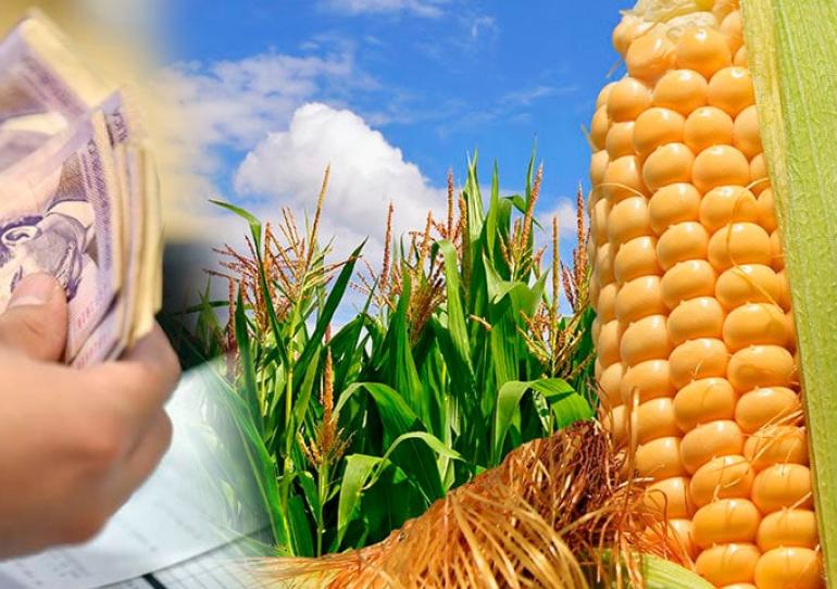 Desembolsos del Banco Agrario para el campo crecieron 21% en los últimos dos meses