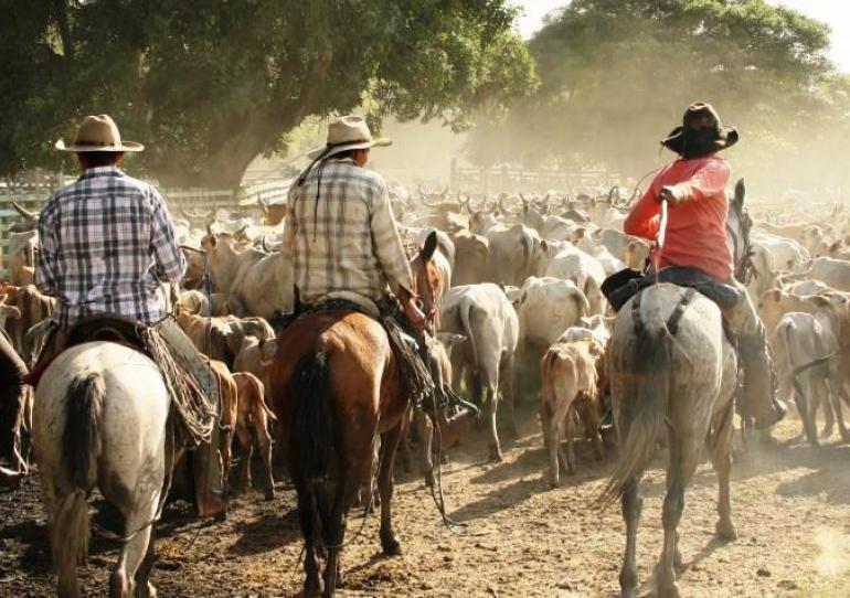 Se dictará taller de “Cantos de Trabajo de Llano” en Paz de Ariporo