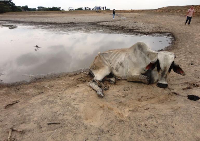 Se activó el Consejo Departamental de Gestión del Riesgo ante inminencia del fenómeno El Niño