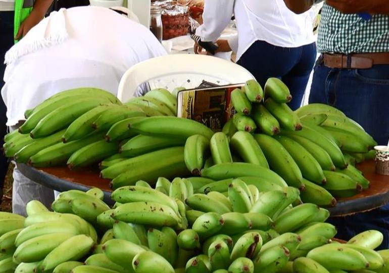 Ejército Nacional lidera muestra empresarial y campesina que se realizará en la ciudad de Yopal       