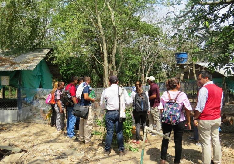 Excombatientes de las Farc conocieron servicios y procesos agrícolas desarrollados en la Universidad Nacional  