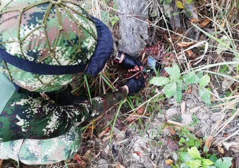 Ejército Nacional destruye 13 artefactos explosivos cerca de  viviendas en  Arauquita