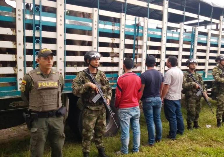 Autoridades lograron en las últimas horas la recuperación de 15 reses y la captura de tres personas    