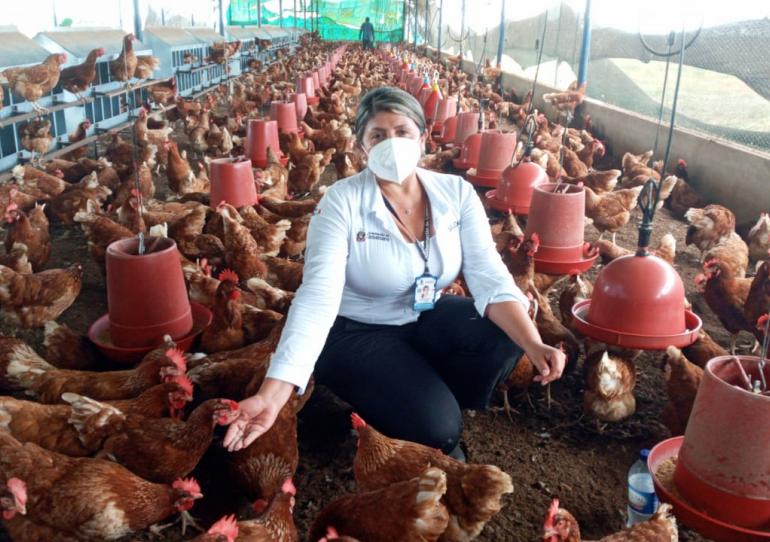 Gobernación de Casanare visitó sector productivo de Hato Corozal 