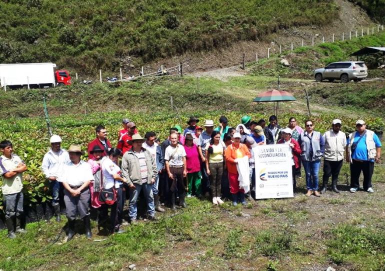 Sácama y la Salina producirán aguacate tipo exportación, gracias al programa Proyectos para la Vida y la Reconciliación