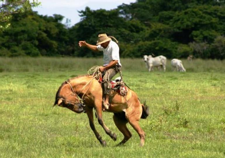Gobernación de Casanare institucionaliza el día para el rescate y valoración de la cultura, tradición e identidad llanera