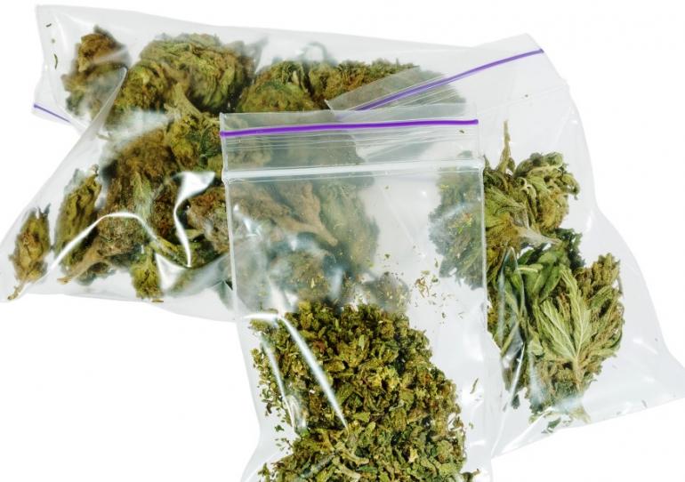 La Marihuana es la  droga más incautada por las autoridades en Casanare