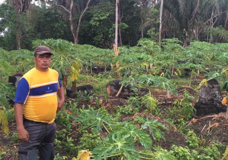  Alianzas Productivas, una alternativa del Gobierno Nacional para los productores del campo casanareño