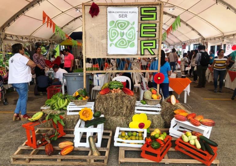 El SENA Regional Casanare le apuesta a la Economía Naranja y al Emprendimiento