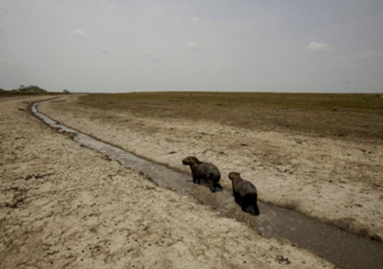 Siguen las alertas por las condiciones climáticas del fenómeno de El Niño 
