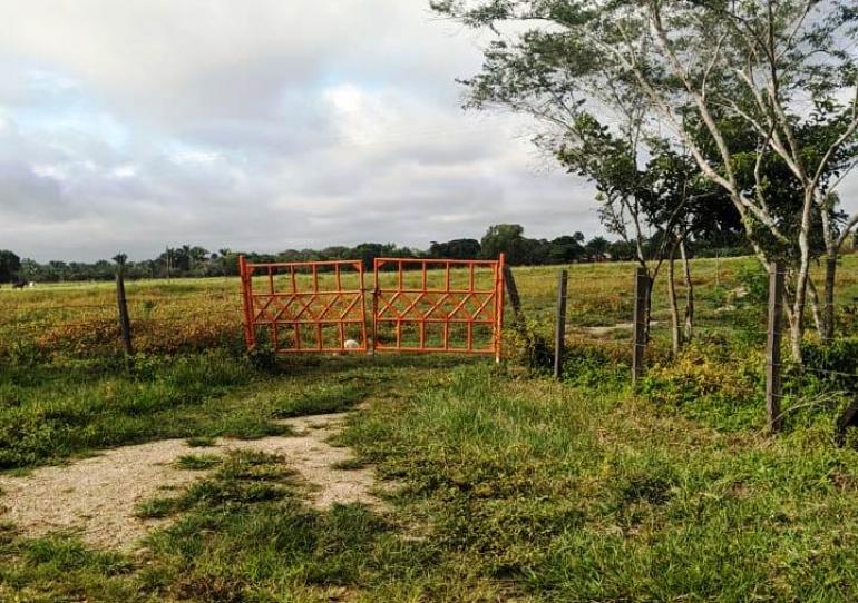 Una persona fue asesinada y otra resultó herida en un hecho registrado en Hato Corozal