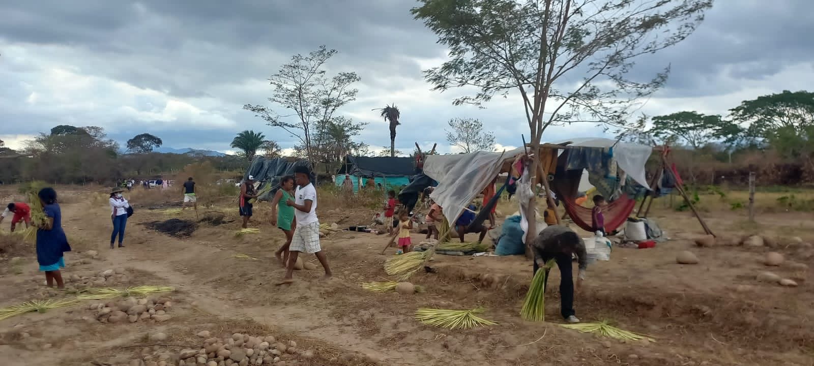 Comunidad Jivi Sikuani 