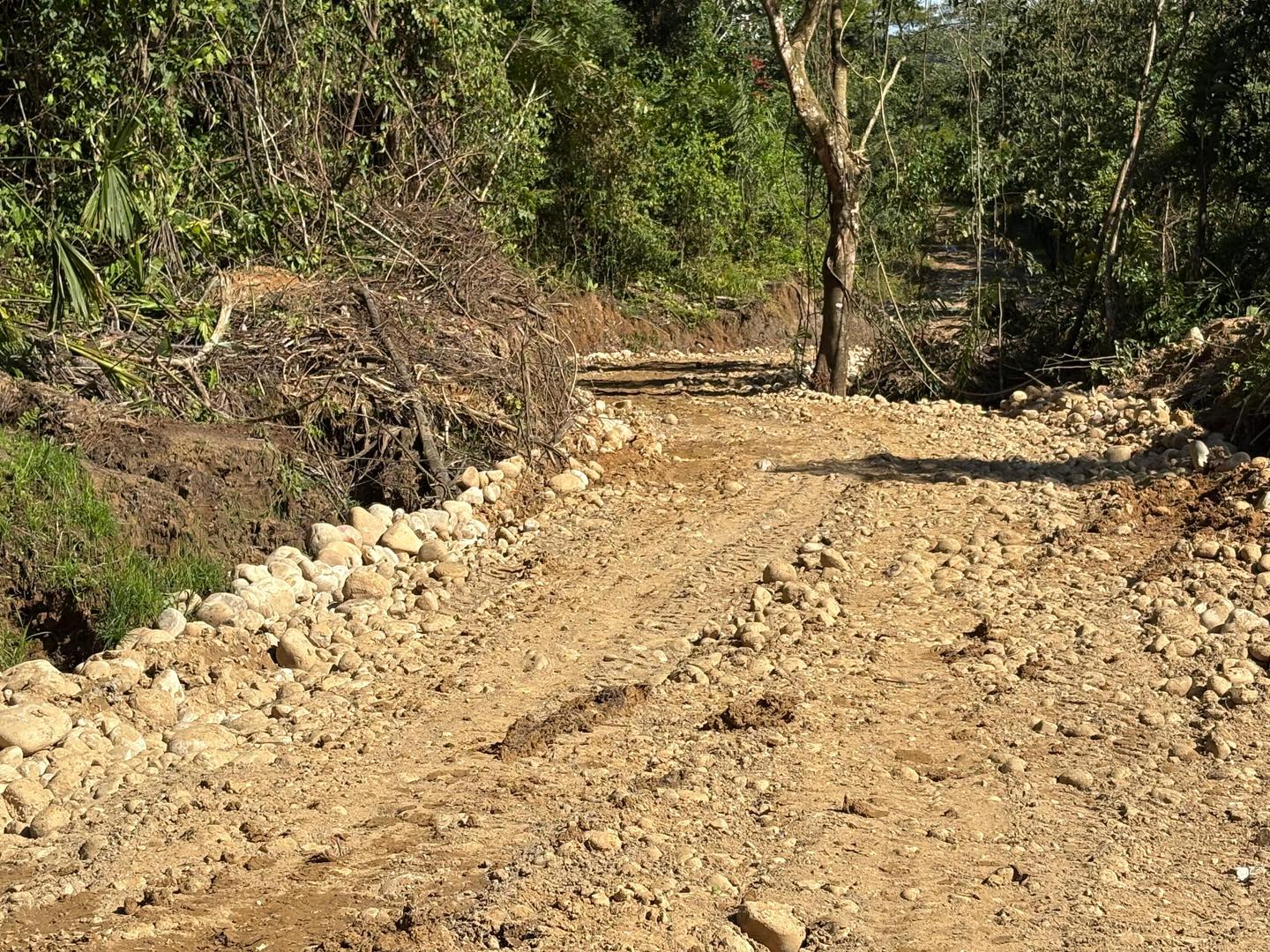 background-player-video