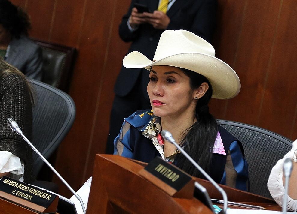 A Plenaria del Senado proyecto de ley que busca incentivar el regreso de los estudiantes y profesionales a Colombia