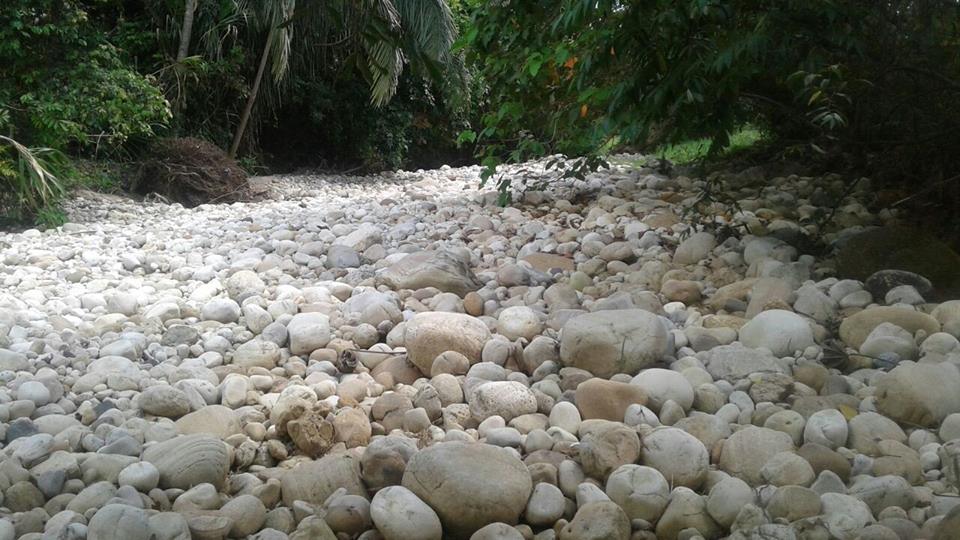 140 familias de área rural de Hato Corozal cumplen nueve días sin agua