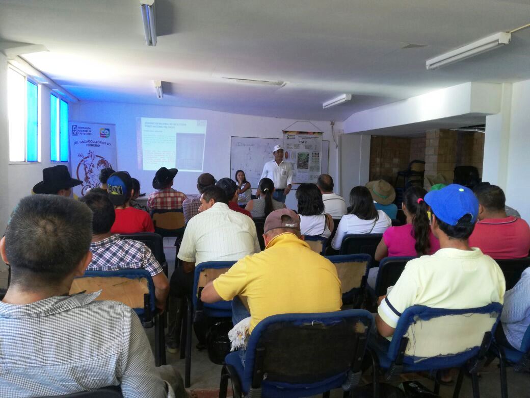 Agricultores y administración de Hato Corozal trabajan en el fortalecimiento del Cacao