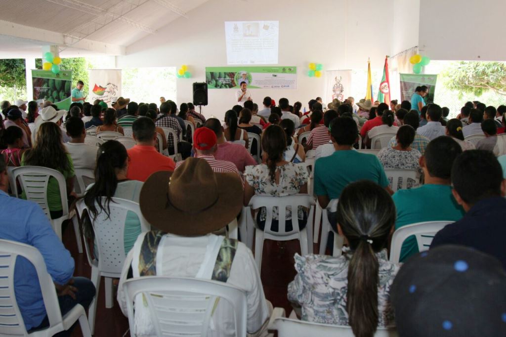Continúa el fortalecimiento de cadenas agrícolas en el departamento de Casanare