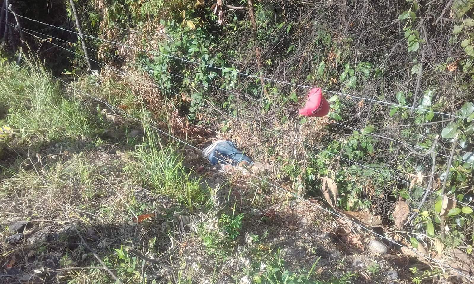 Autoridades hallaron el cuerpo de dos personas sobre la marginal de la selva cerca al rio Ariporo