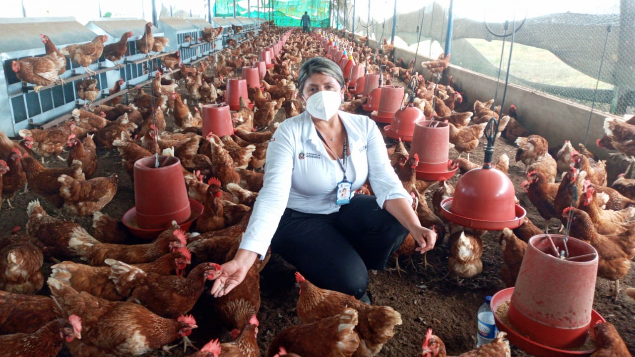 Gobernación de Casanare visitó sector productivo de Hato Corozal