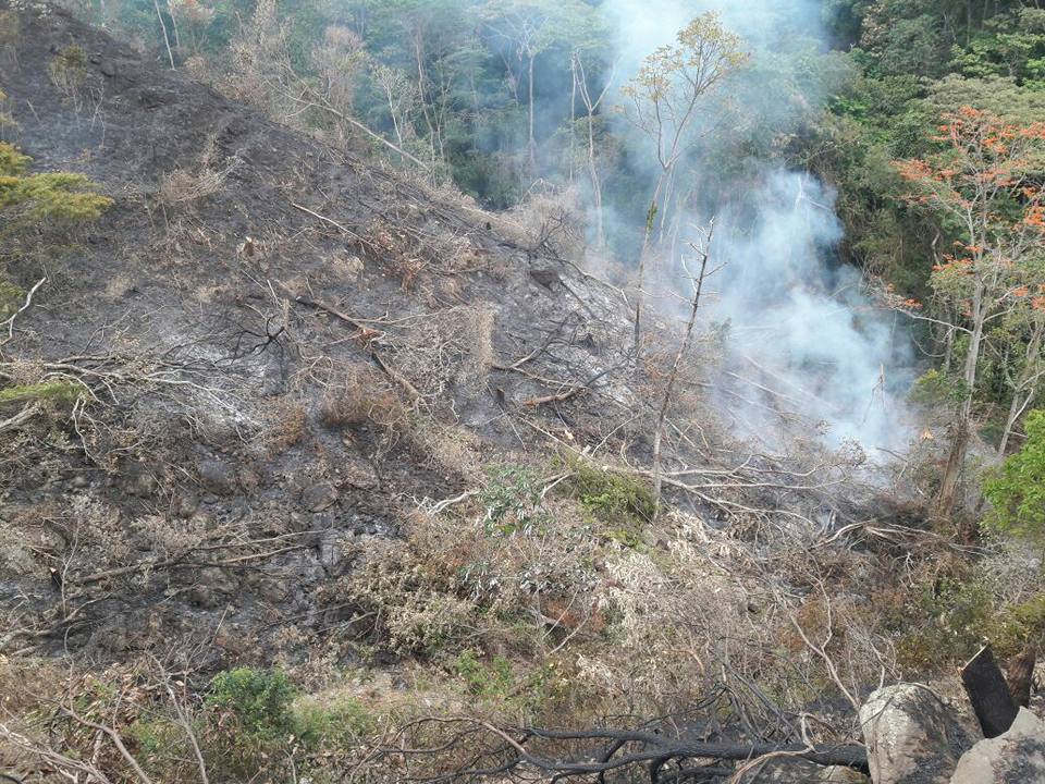 Alerta Roja en 13 municipios de Casanare por amenaza de incendios forestales
