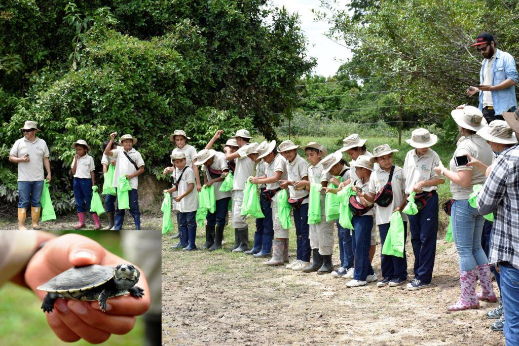 Gracias a convenio entre Parex y Unitrópico se liberaron 100 Galápagas en la reserva natural La Esperanza