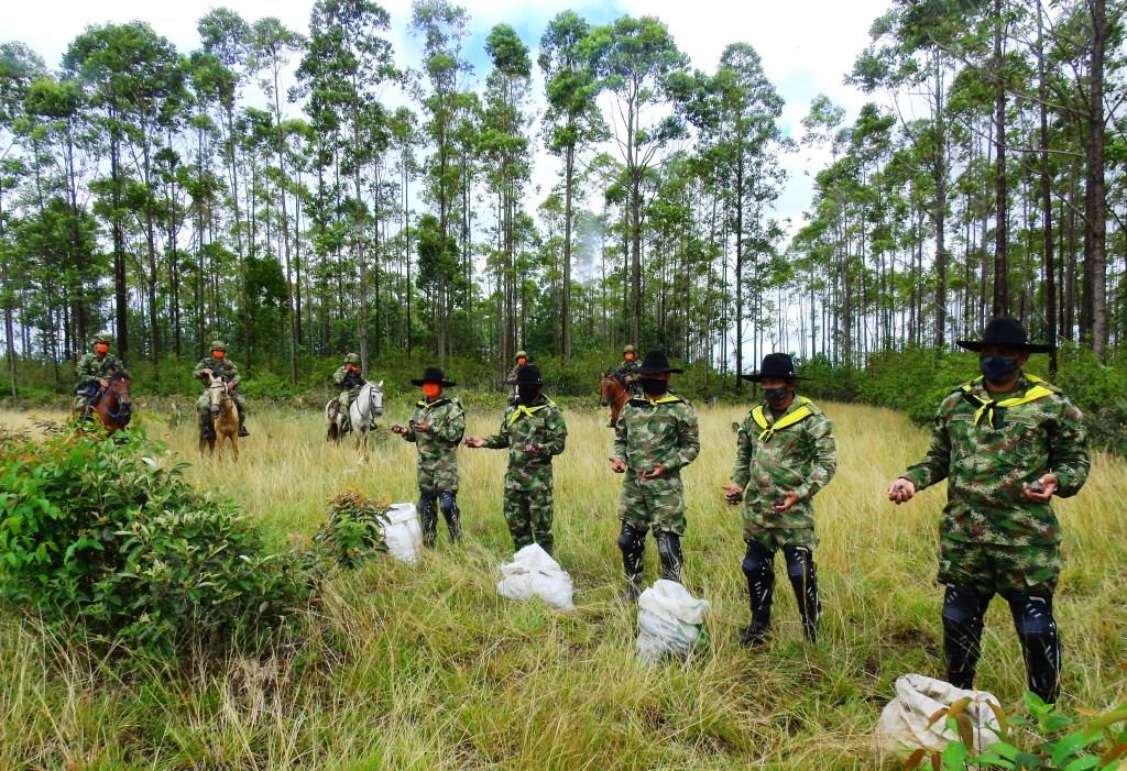 “Lluvia Verde” llegó con 22.000 semillas de árboles nativos a Orocué