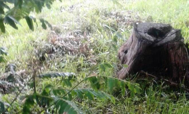 Autoridades investigación muerte de un hombre que habría fallecido en un lote a las afueras del casco urbano de Paz de Ariporo