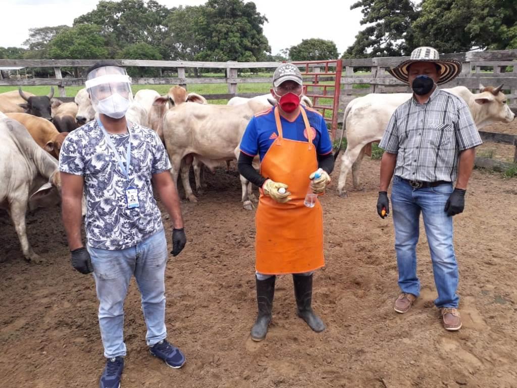 Secretaría de Agricultura Departamental monitorea cumplimiento de protocolos de bioseguridad del primer ciclo de vacunación