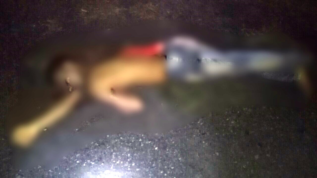 Una persona fue asesinada en su finca en el municipio de Pore el pasado 23 de diciembre