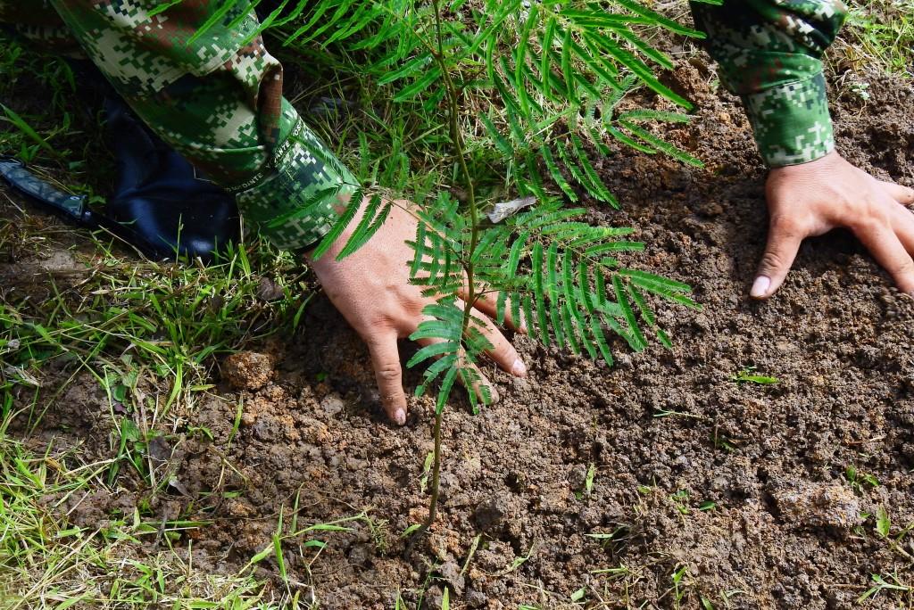 Con siembra de árboles Ejercito Nacional conmemoró el Día Mundial del Medio Ambiente en Casanare