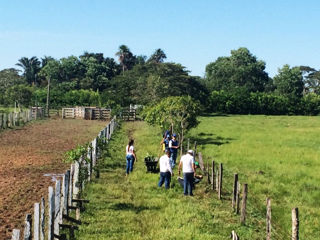 Exitosa jornada de siembra de plantas en la celebración del día mundial del árbol