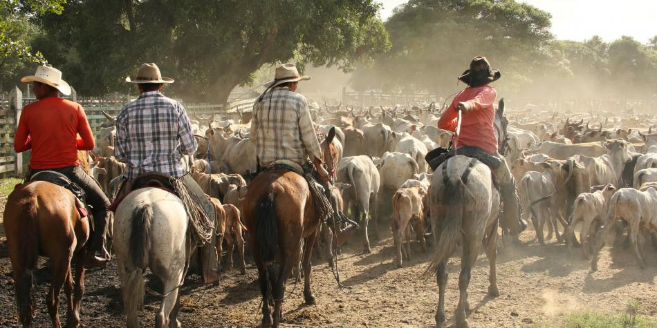 Unesco pide proteger los cantos de vaquería de los llanos de Colombia y Venezuela