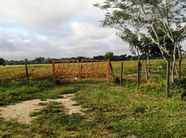 Una persona fue asesinada y otra resultó herida en un hecho registrado en Hato Corozal