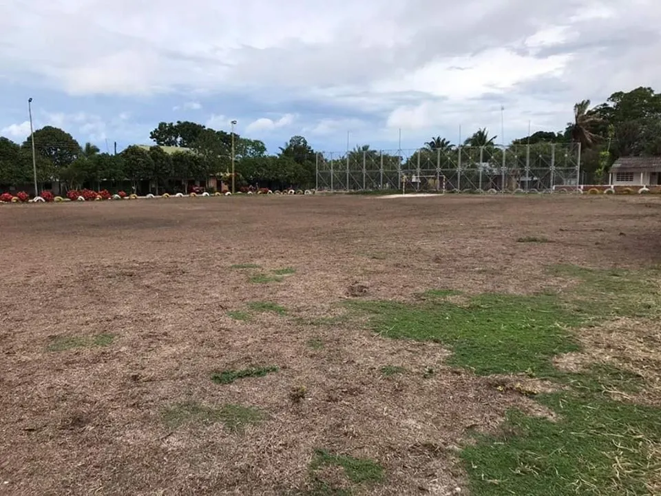 Como si se tratara de una de las 10 plagas, "Los Cocos" hacen estragos en Hato Corozal