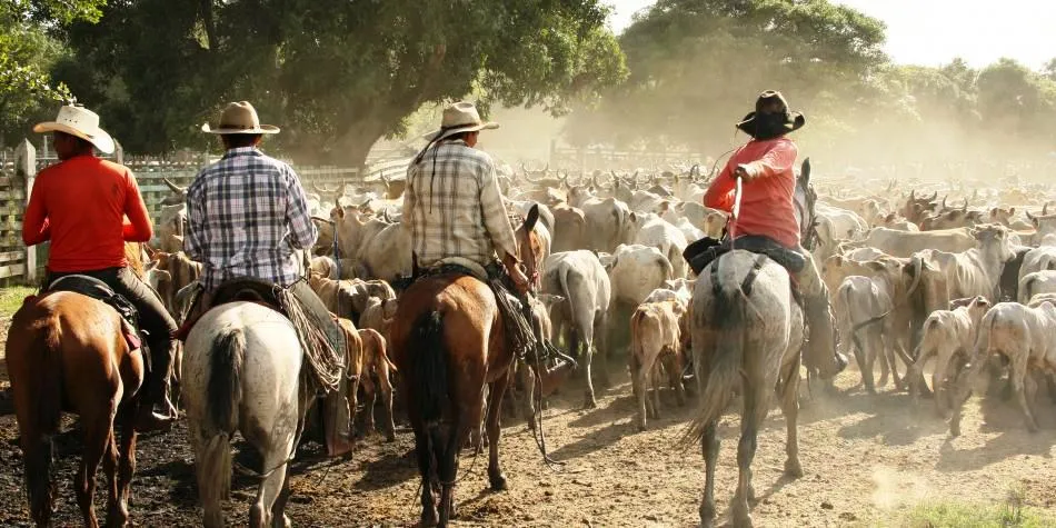 Se dictará taller de “Cantos de Trabajo de Llano” en Paz de Ariporo