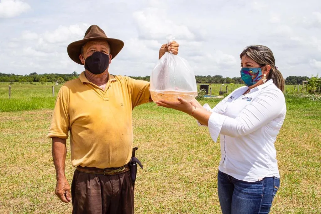 Gobernación de Casanare apoya emprendimientos en el sector piscícola